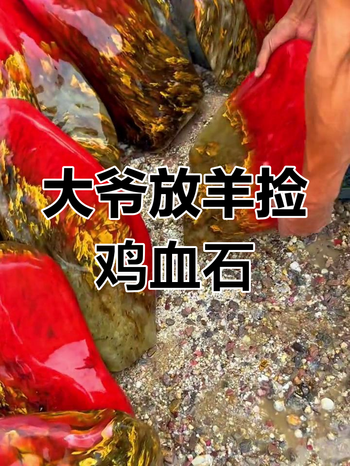 放羊大爷捡到鸡血石,竟然是这个价格!