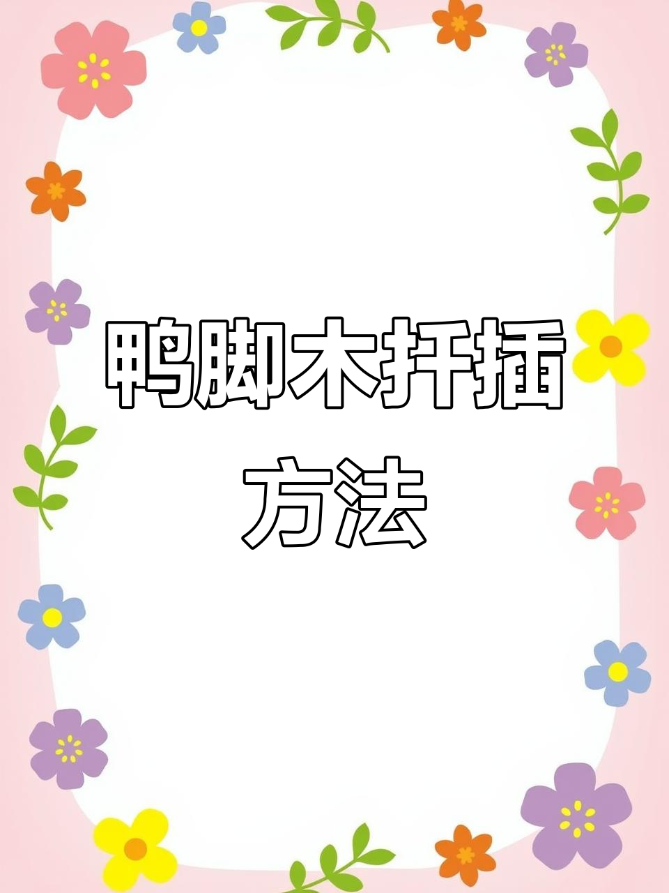 鸭脚木扦插技巧，轻松学会花卉繁殖