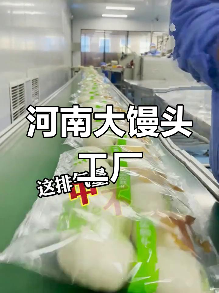 河南最大馒头厂,十万级车间日产八百万个!