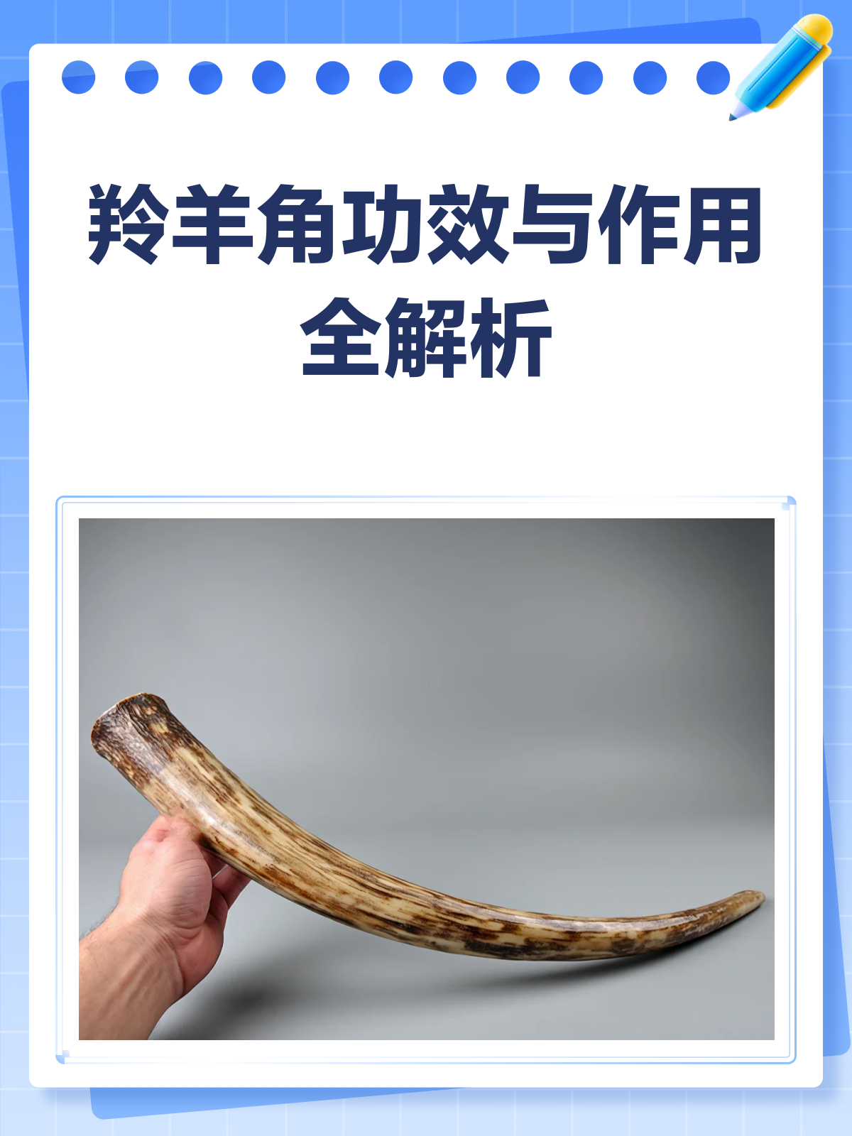 羚羊角知多少?功效与作用全解析!