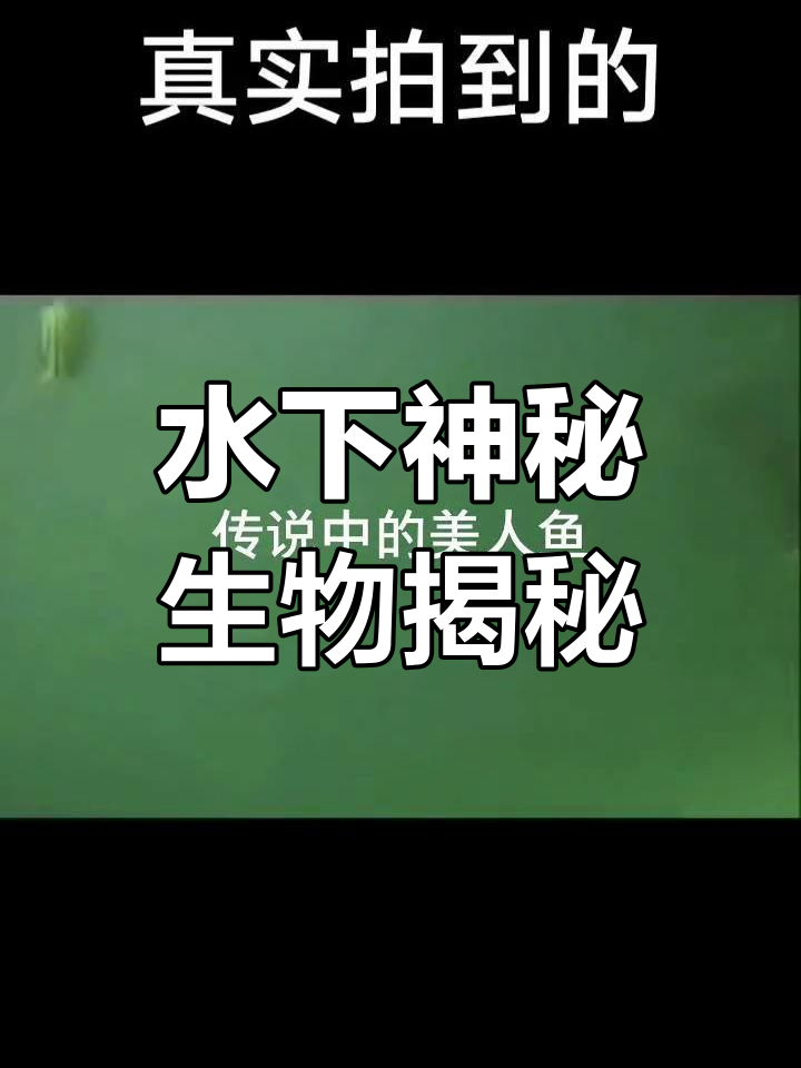 传说中的美人鱼现身,竟然是这样!