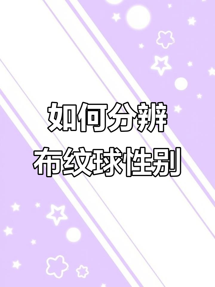 布纹球公母怎么区分?花蕊形状揭秘