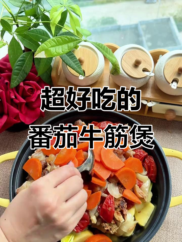 番茄牛筋煲,家常美味轻松做