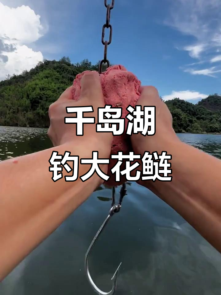 千岛湖大花鲢垂钓挑战,弹簧线组直击百斤巨物