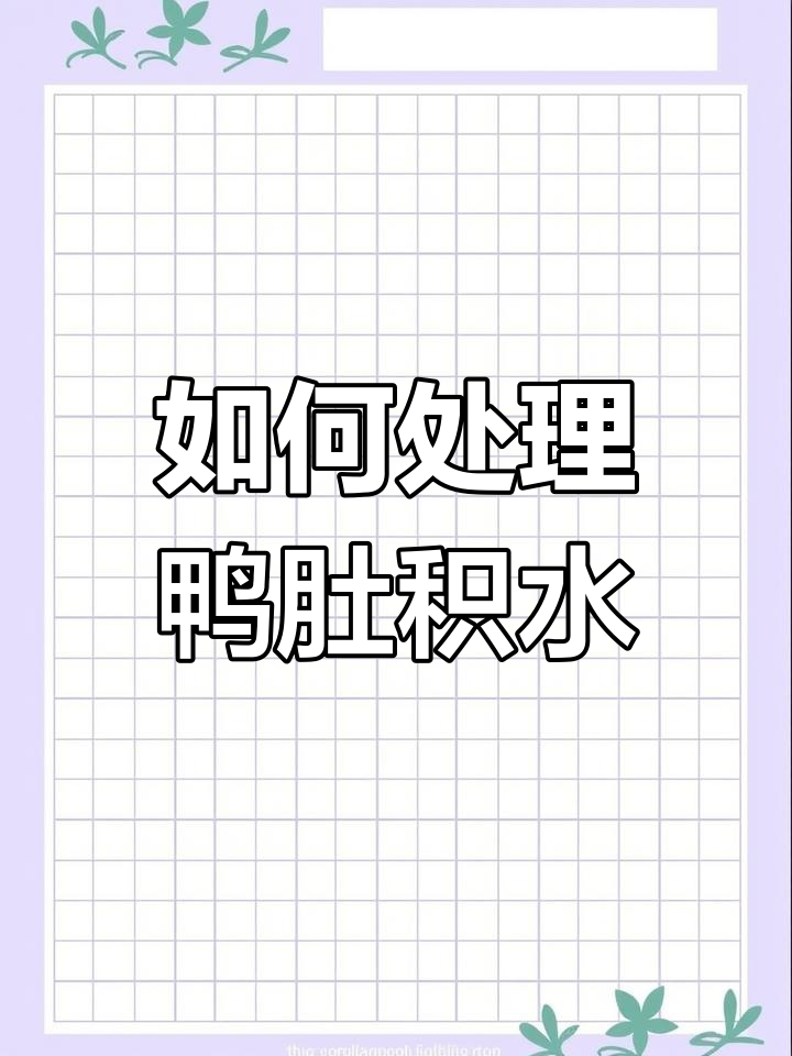 鸭子肚子里有水怎么办?两种情况应对方法揭秘