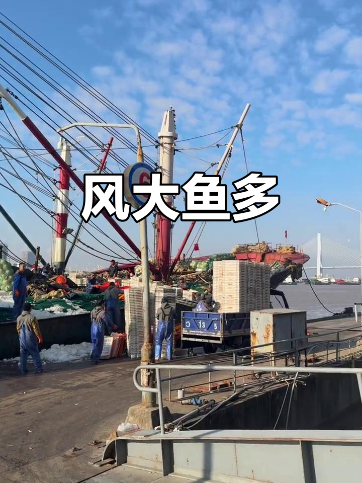 舟山雷达网:风浪越大,捕捞越丰盈