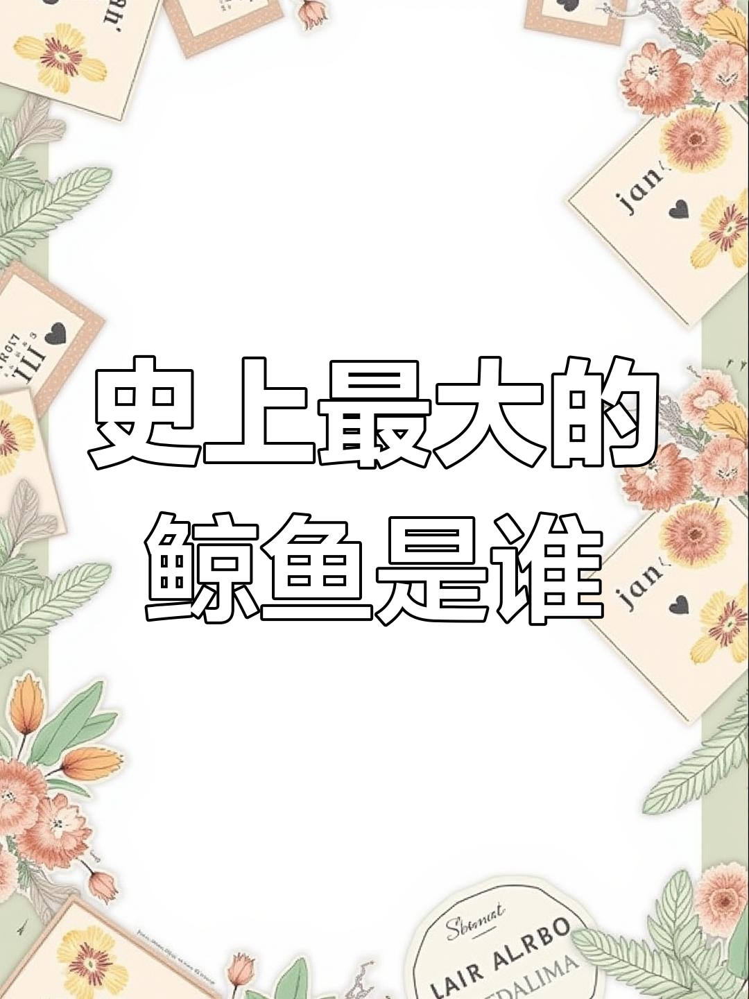 史前鲸鱼最大的是谁?揭秘巨型海怪的真实尺寸