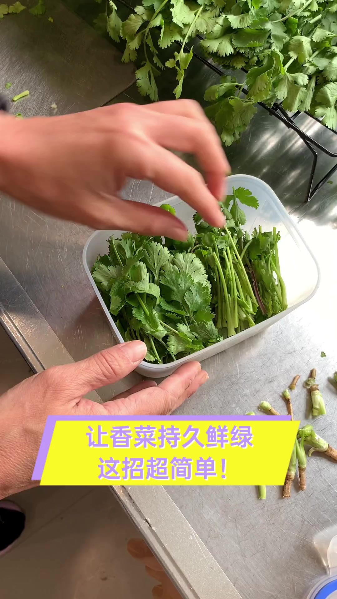 让香菜持久鲜绿,这招超简单!