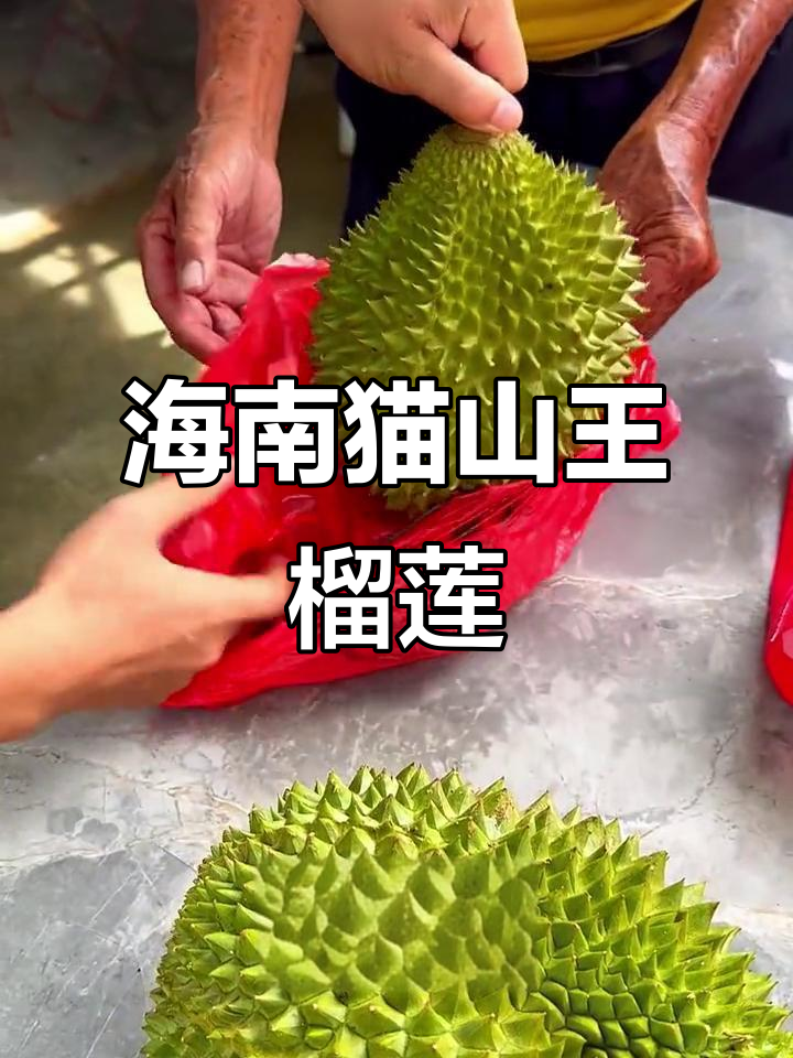 海南猫山王榴莲:120元一斤,热带水果的极致美味