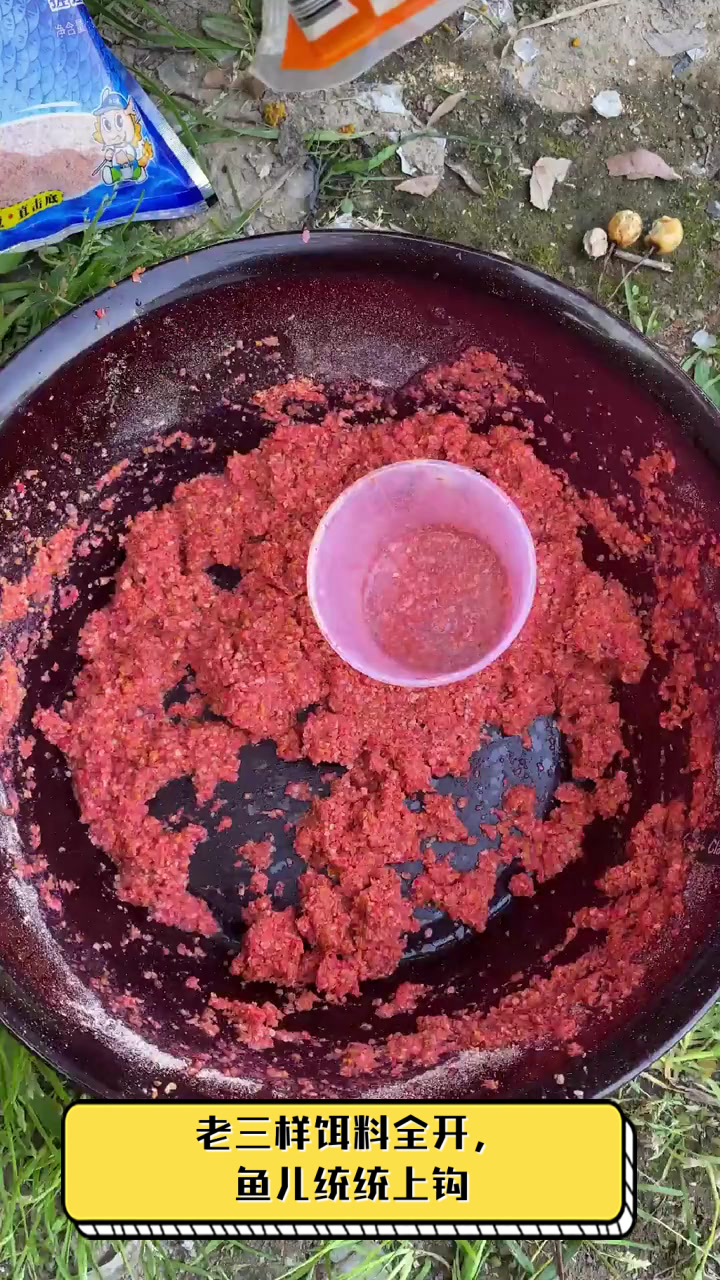 老三样饵料全开,鱼儿统统上钩