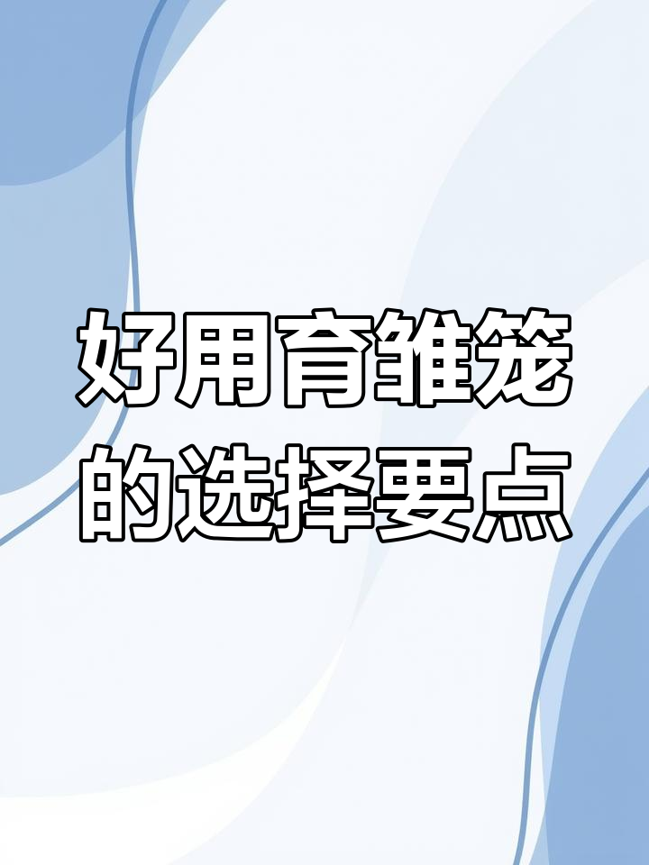 青年鸡育雏笼的细节决定成败,如何挑选好用的小鸡笼