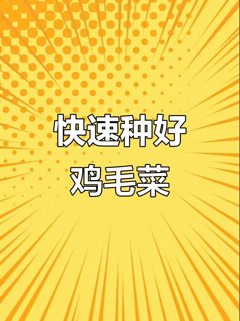 鸡毛菜高效种植技巧,防虫管理全攻略