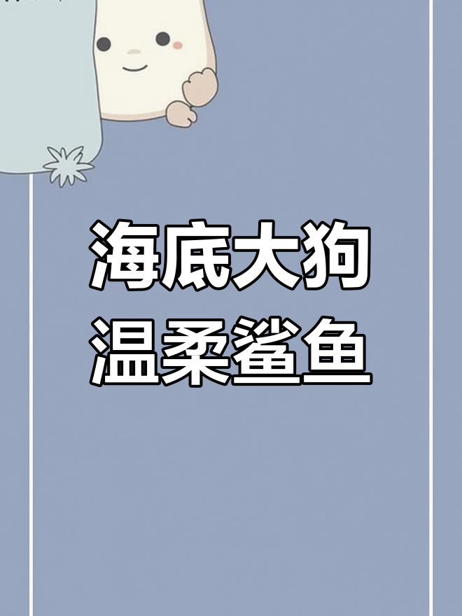 鲨鱼其实是海底的温顺狗狗