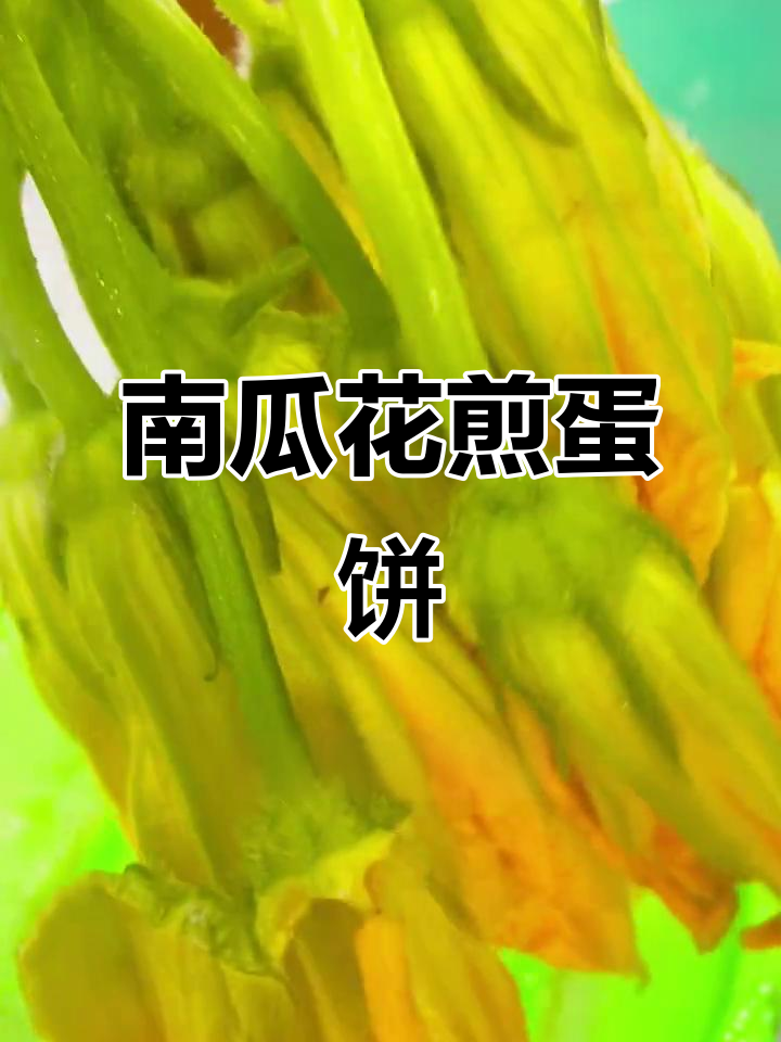 南瓜花蛋饼做法大揭秘,简单又美味!