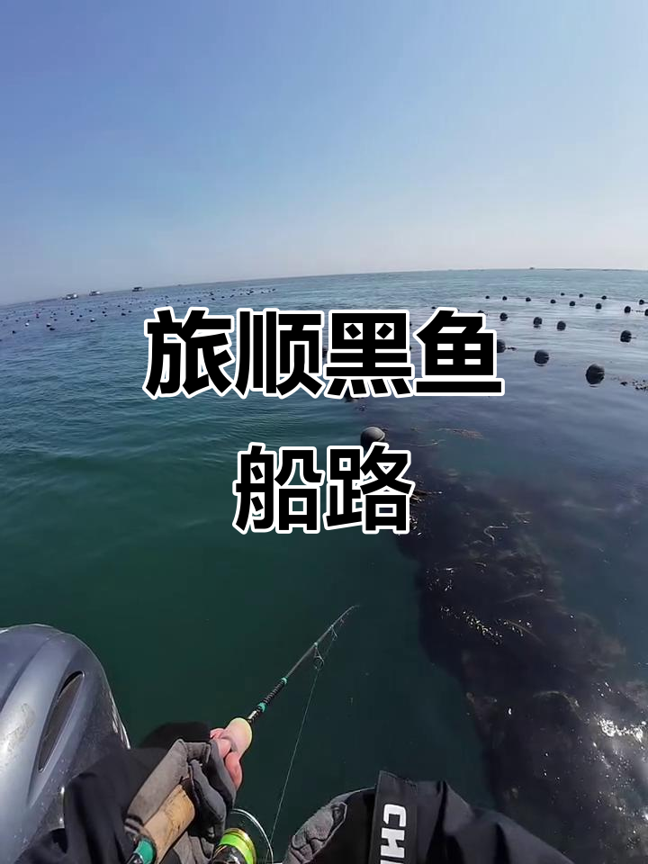 大连旅顺黑鱼船钓,海浪声中感受钓鱼的快乐