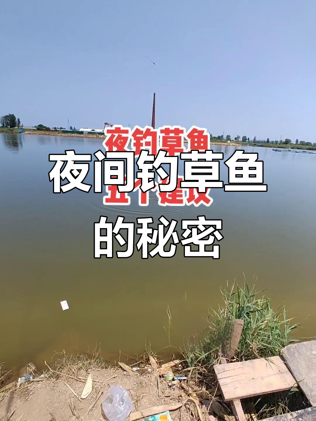 夜钓草鱼技巧大揭秘:怕光、跺脚、提杆都有讲究