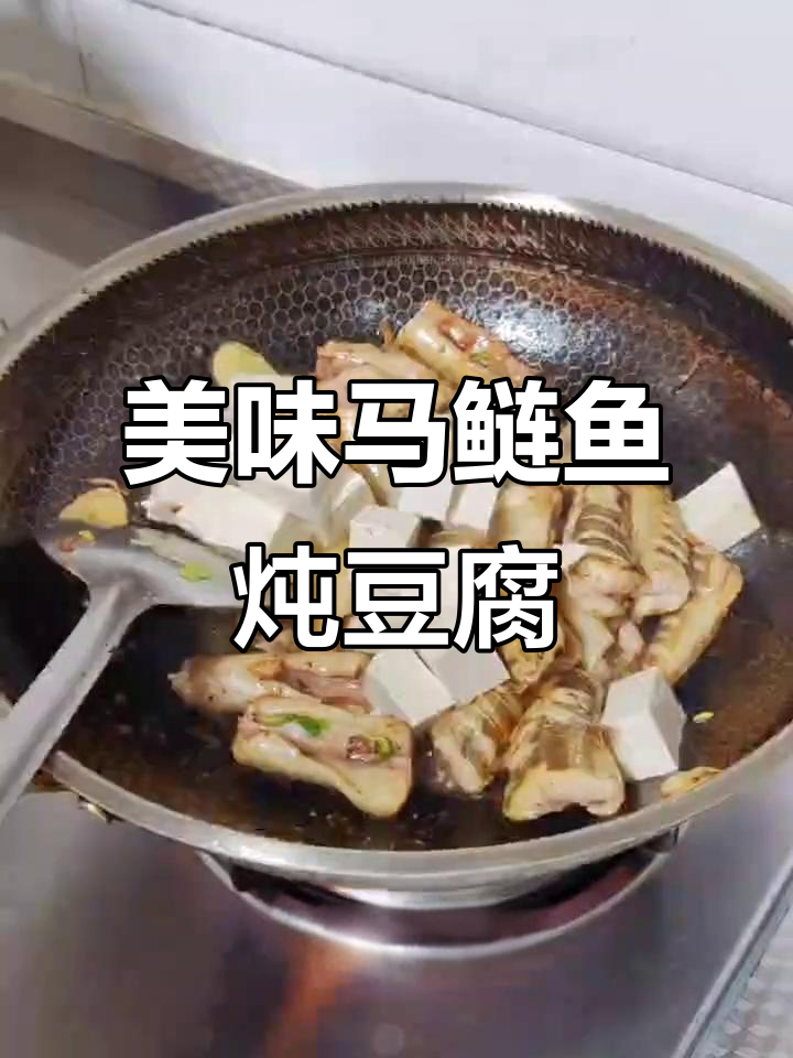 马鲢鱼炖豆腐,汤鲜味美,家常做法超简单