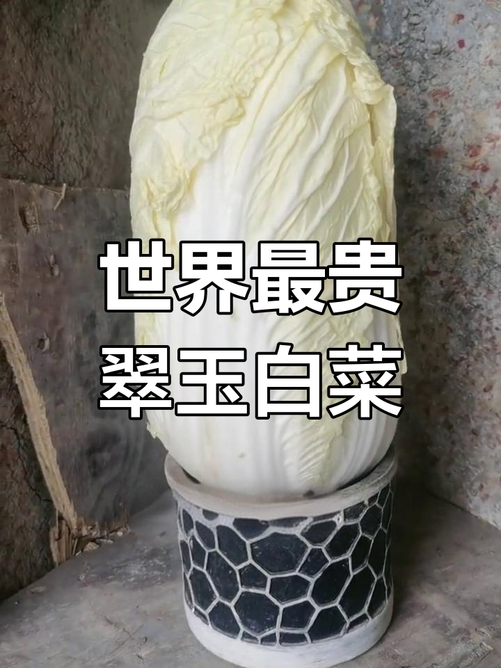 台北故宫的翡翠玉白菜,价值连城的文化瑰宝