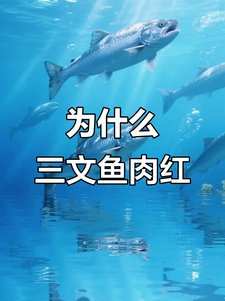 三文鱼为何是红色的?原来是因为吃了这些!