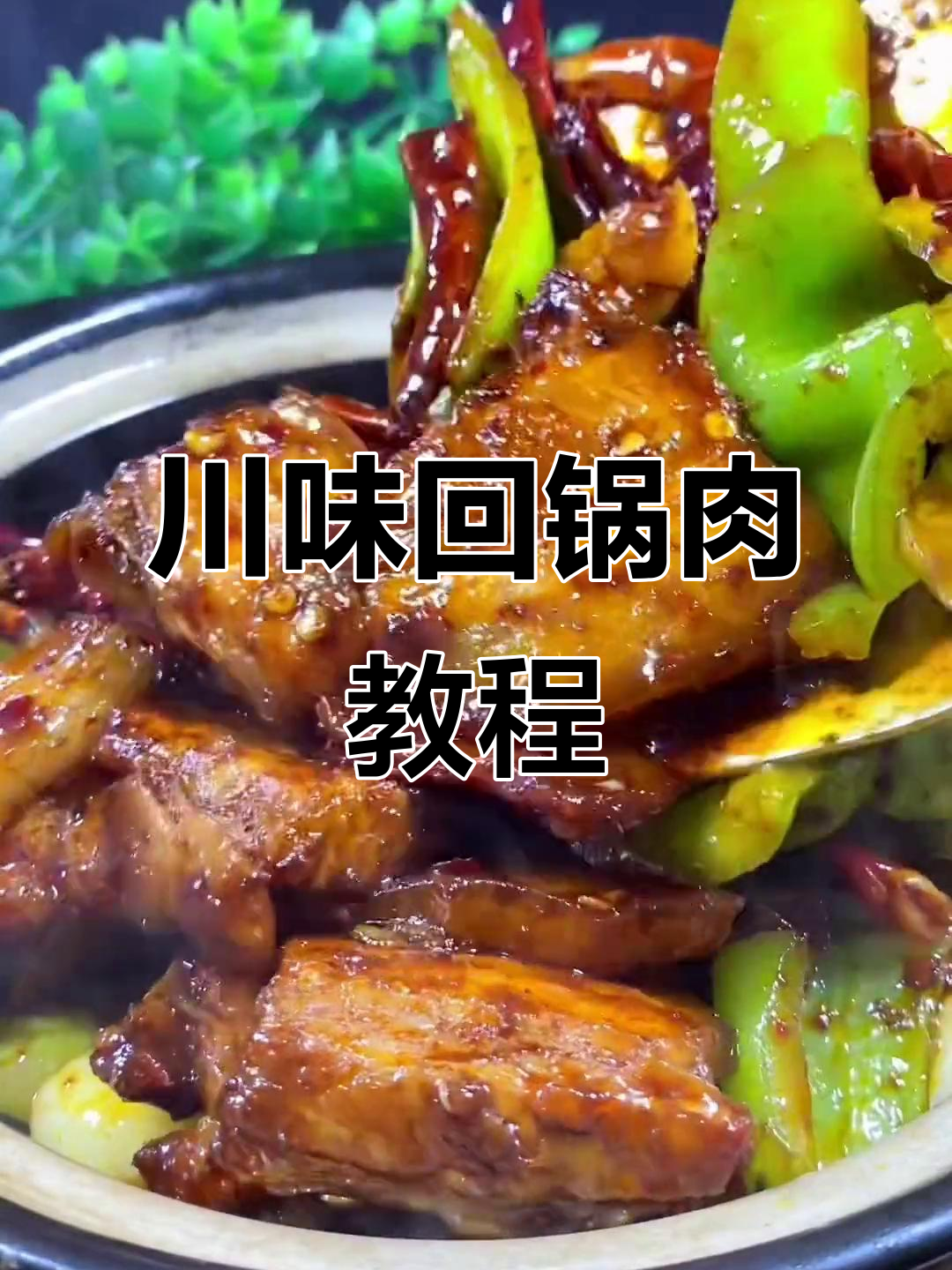 正宗四川回锅肉，麻辣鲜香一学就会