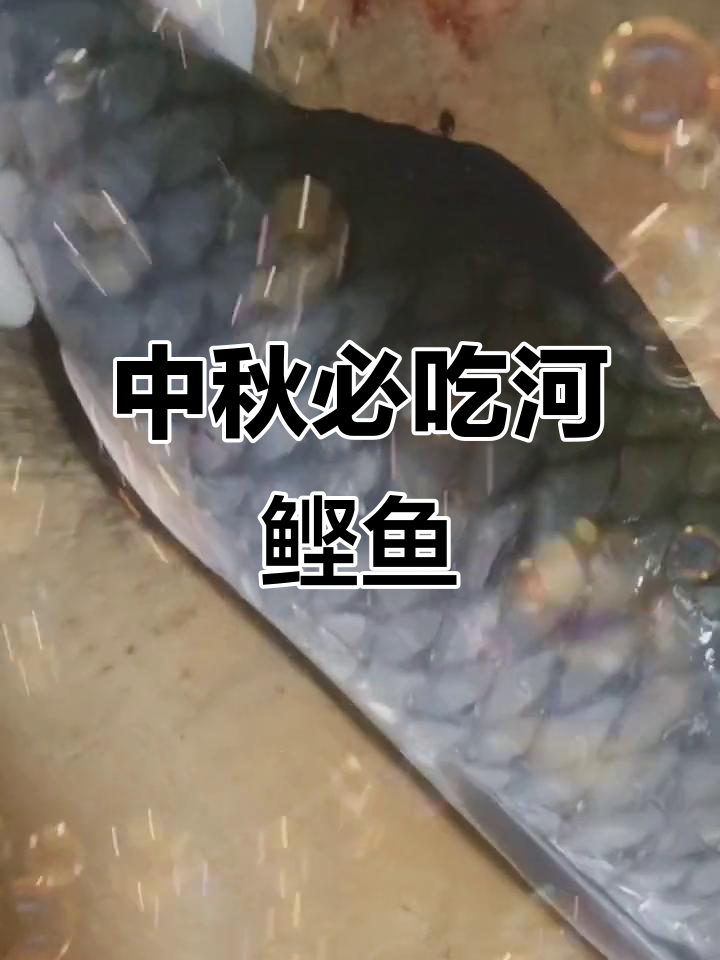 河鲣鱼做鱼生,中秋佳节必备美味