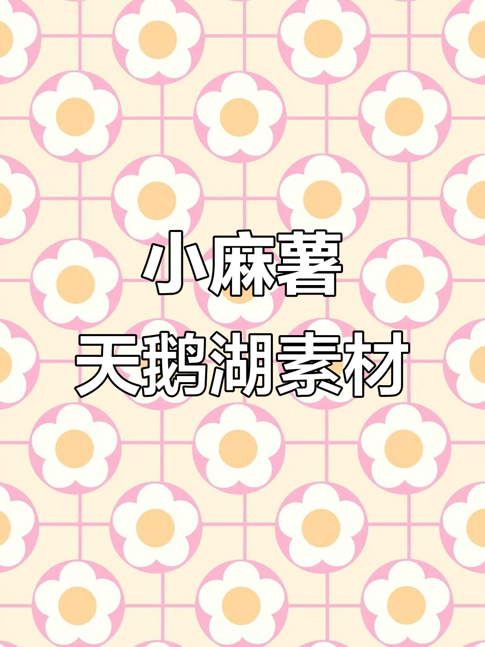 小麻薯天鹅湖电子素材展示