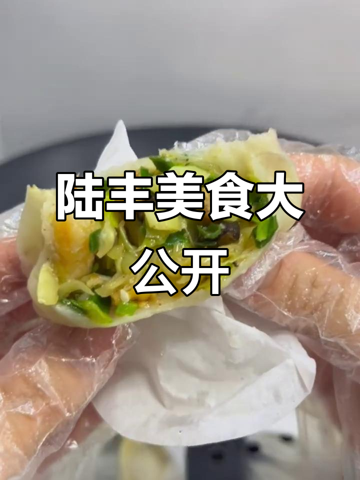 陆丰菜果大揭秘,妈妈手工制作的美味馅料让人流连忘返