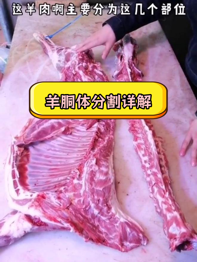羊肉部位全解析,吃法大不同