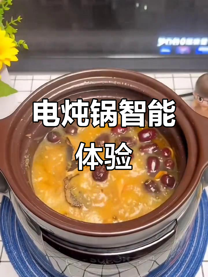 苏泊尔电炖锅,快速煲汤煮粥,智能预约功能