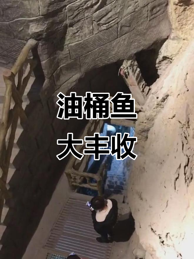 传说中的油桶鱼来了,每天抓不完的财富