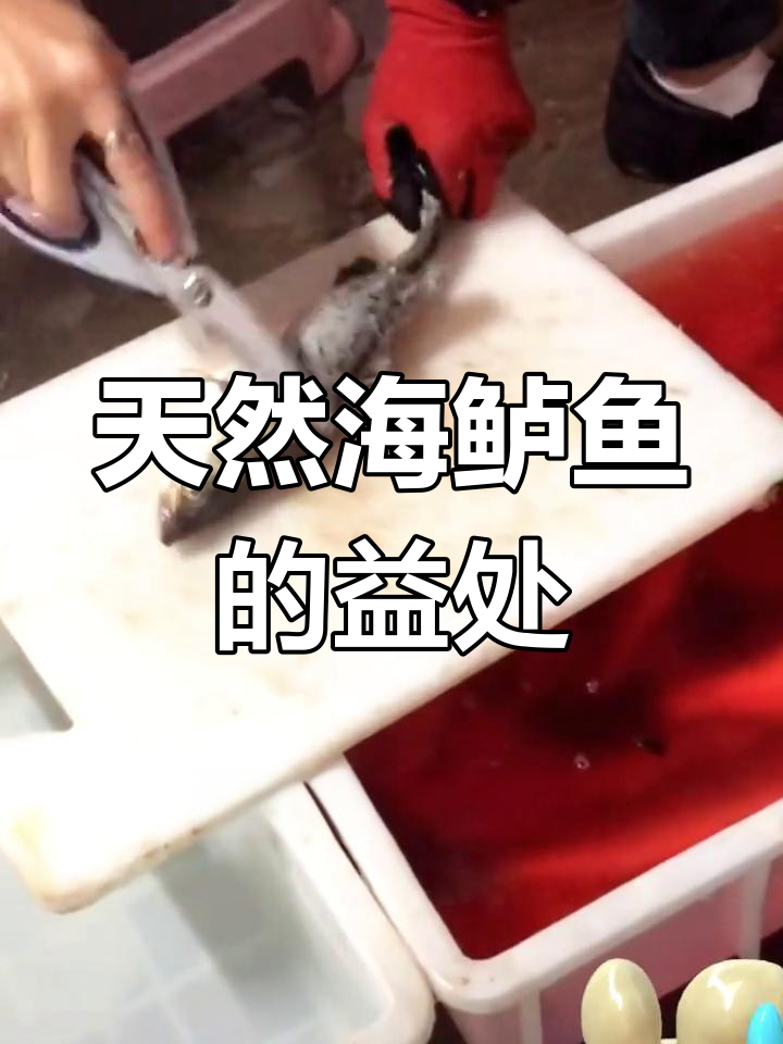 海鲈鱼的营养价值与功效