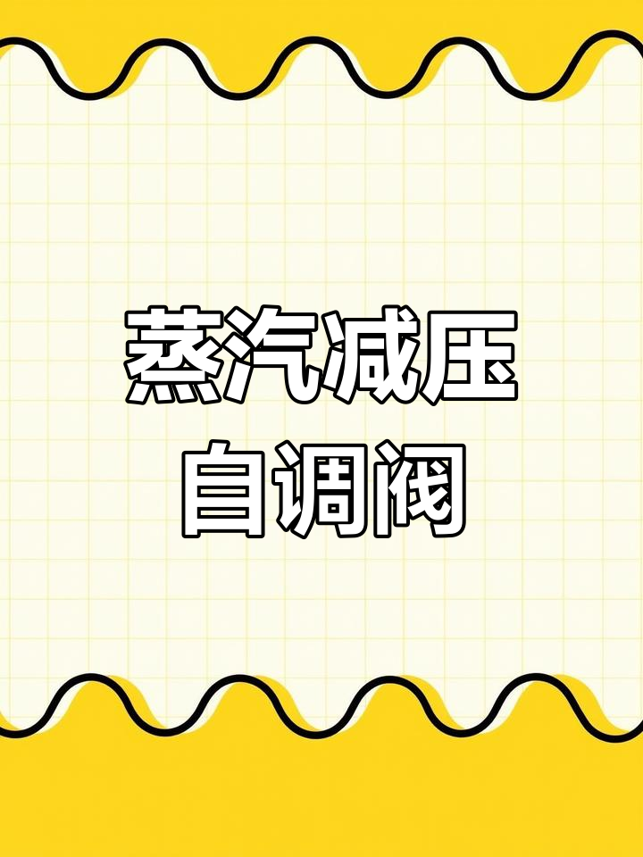 自力式蒸汽压力调节阀的优点与应用