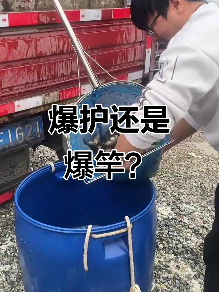 沙沟钓鱼挑战,300斤黄金丁贵等你来钓!