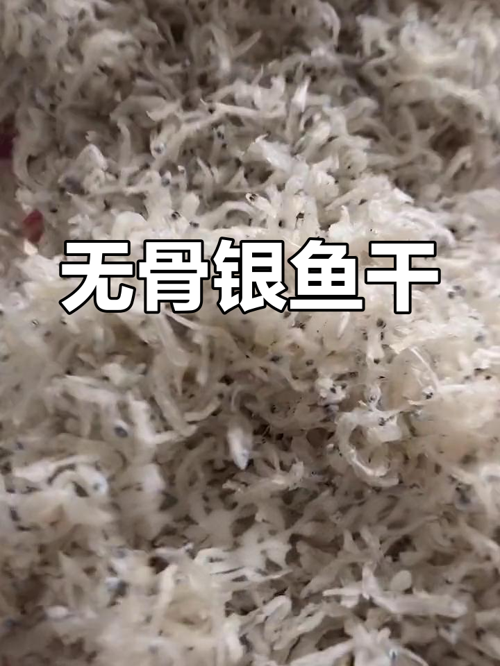 海南特产无骨银鱼干,煎炒皆宜