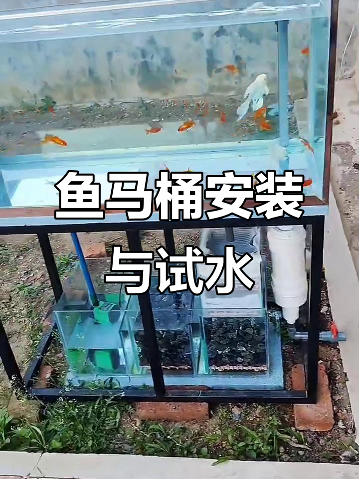 自制鱼马桶工作原理揭秘,轻松打造过滤系统