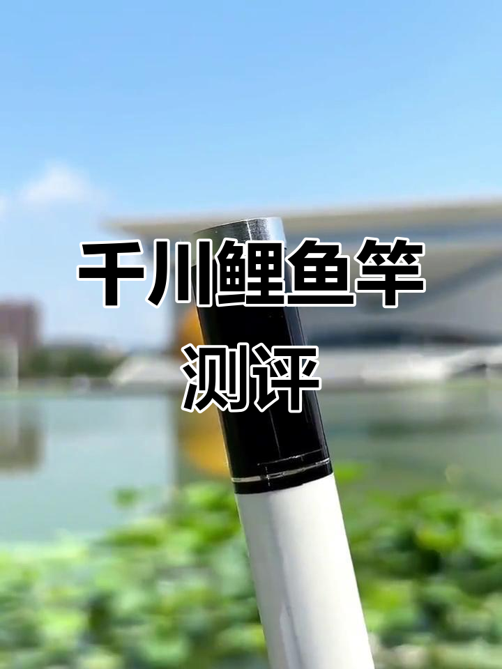 千川鲤鱼竿评测:轻巧强劲,钓大鱼不爆竿