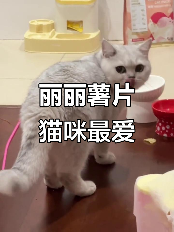 闽南猫也爱吃的丽丽薯片,味道超赞!