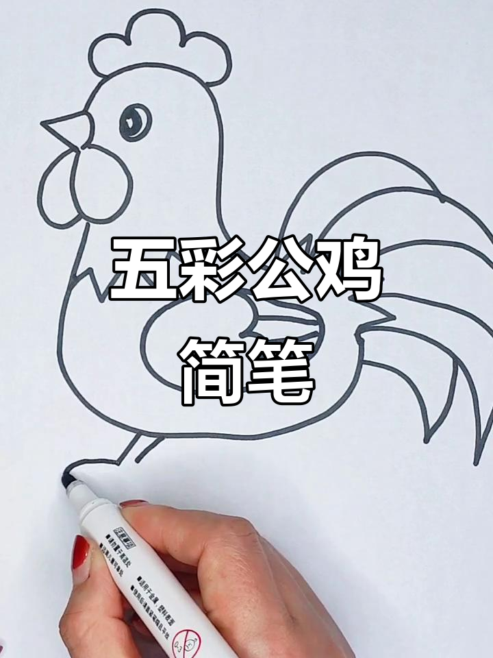 五彩大公鸡简笔画,轻松学会!