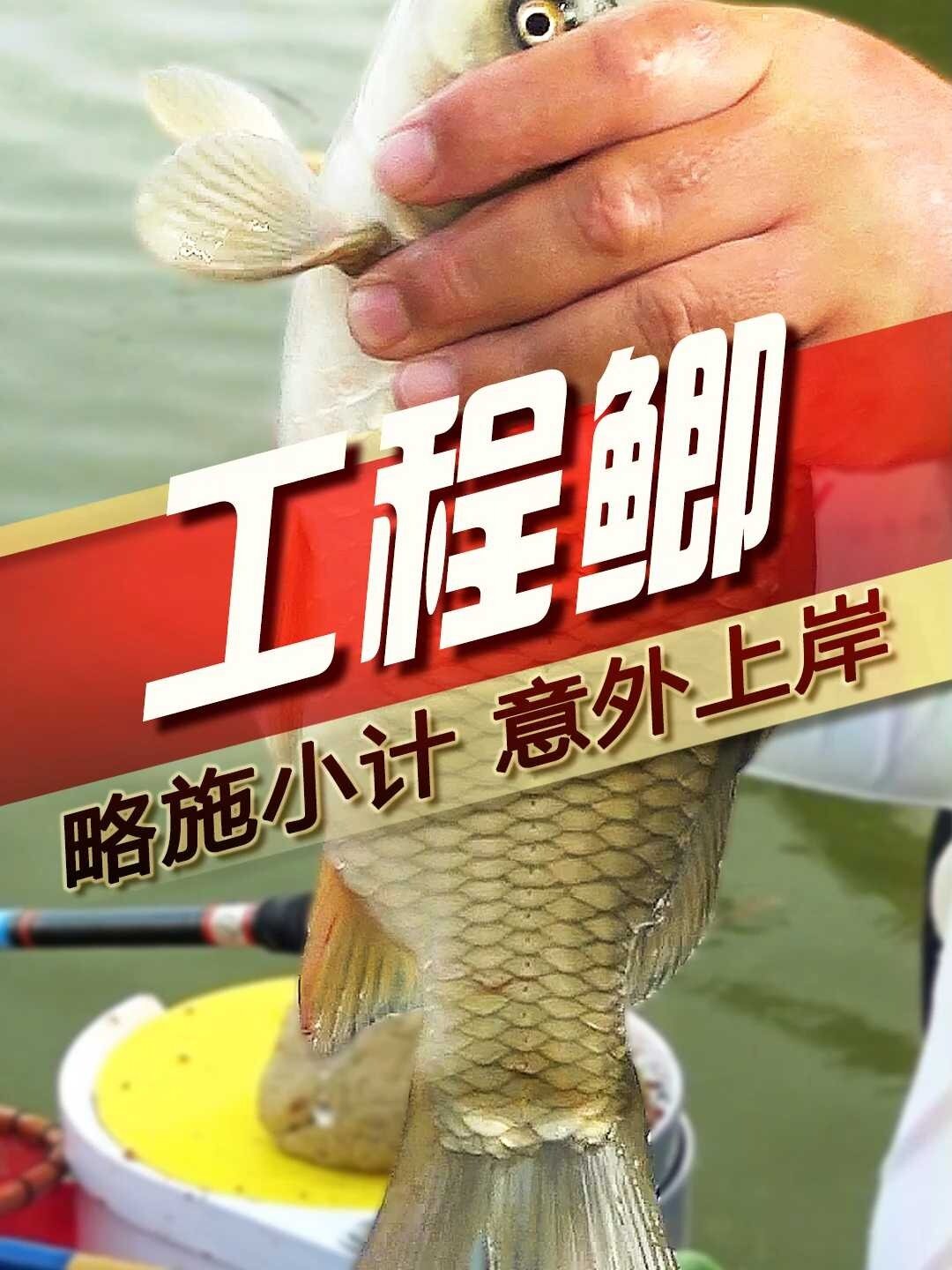 工程鲫 略施小计,意外上岸