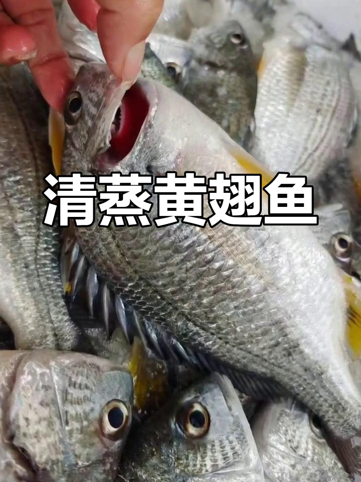 黄立鱼:清蒸美味,营养丰富