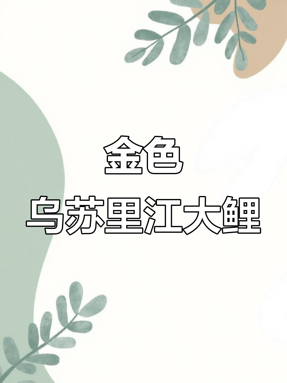 乌苏里江野生大鲤鱼,鳞片金黄尾巴红艳