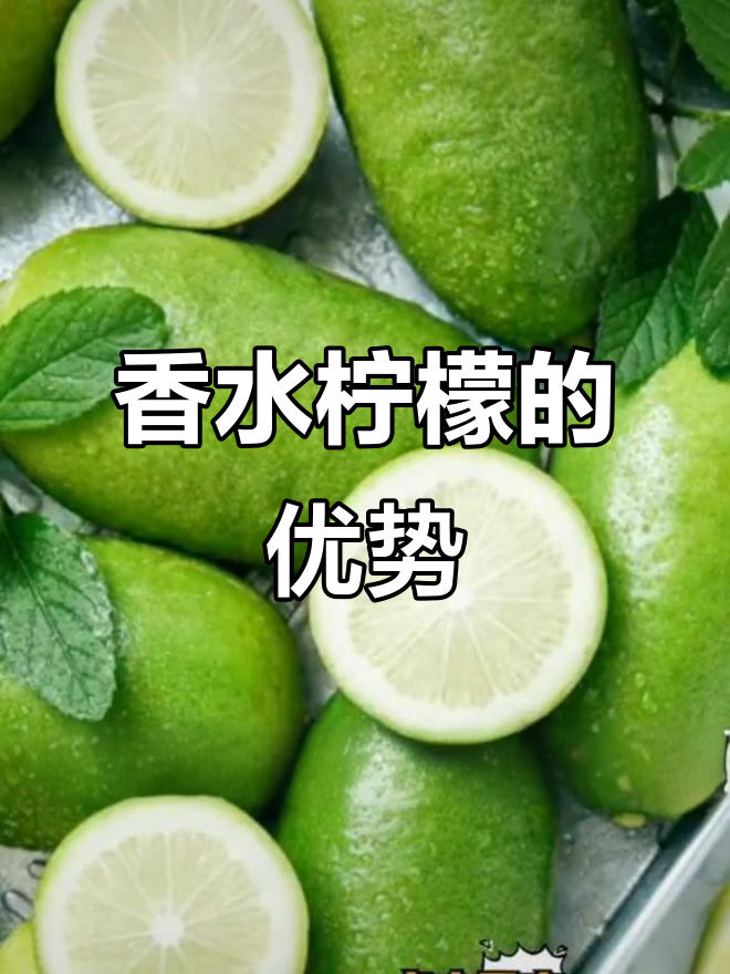 香水柠檬与普通柠檬的区别,做饮品更佳选择