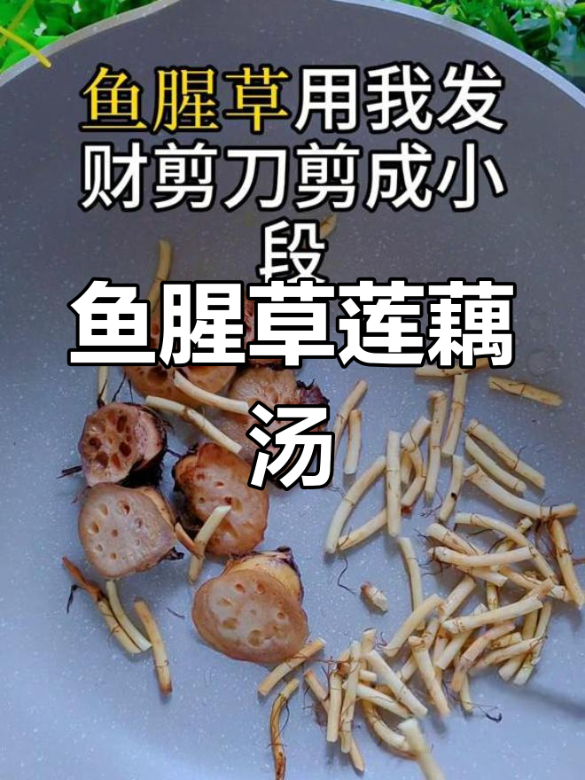 鱼腥草藕节汤,孩子必备的万能方子