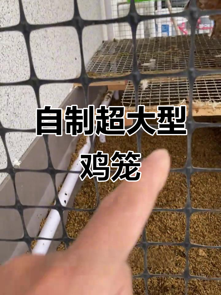 低成本DIY超大鸡笼，简单又实用！