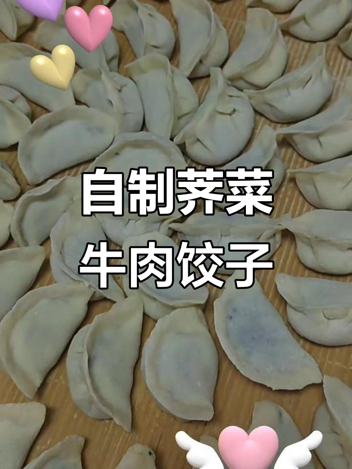 荠菜牛肉饺子,手工制作的美味水饺