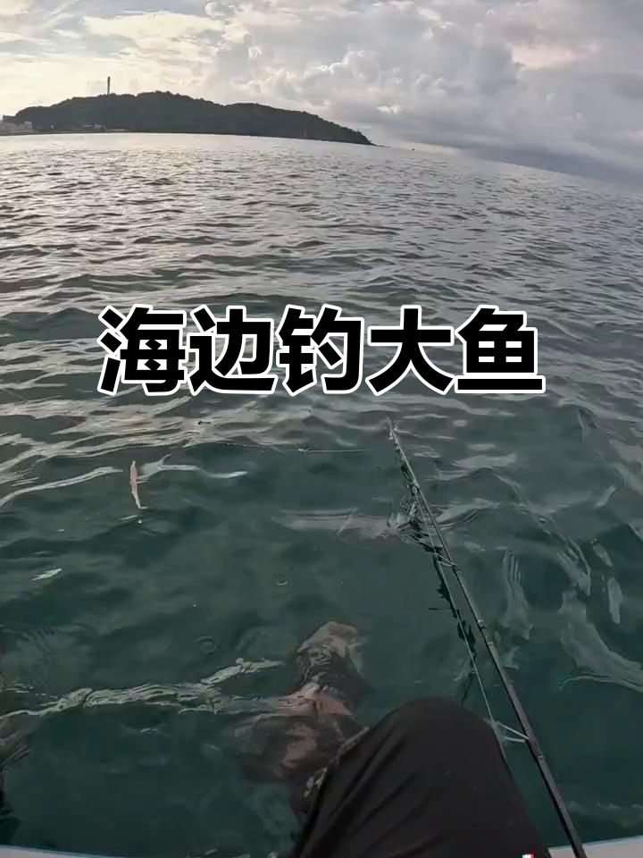 十元南极磷虾海边钓鱼,第一竿就遇“大力士”!
