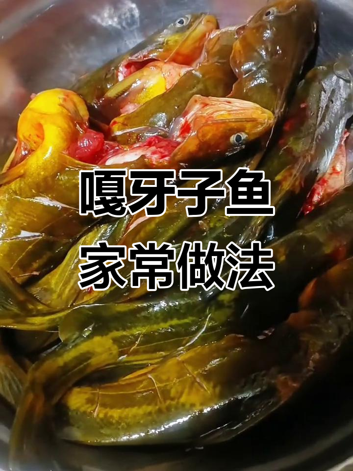 这道嘎牙子鱼炖出满满家乡味,鲜香十足!