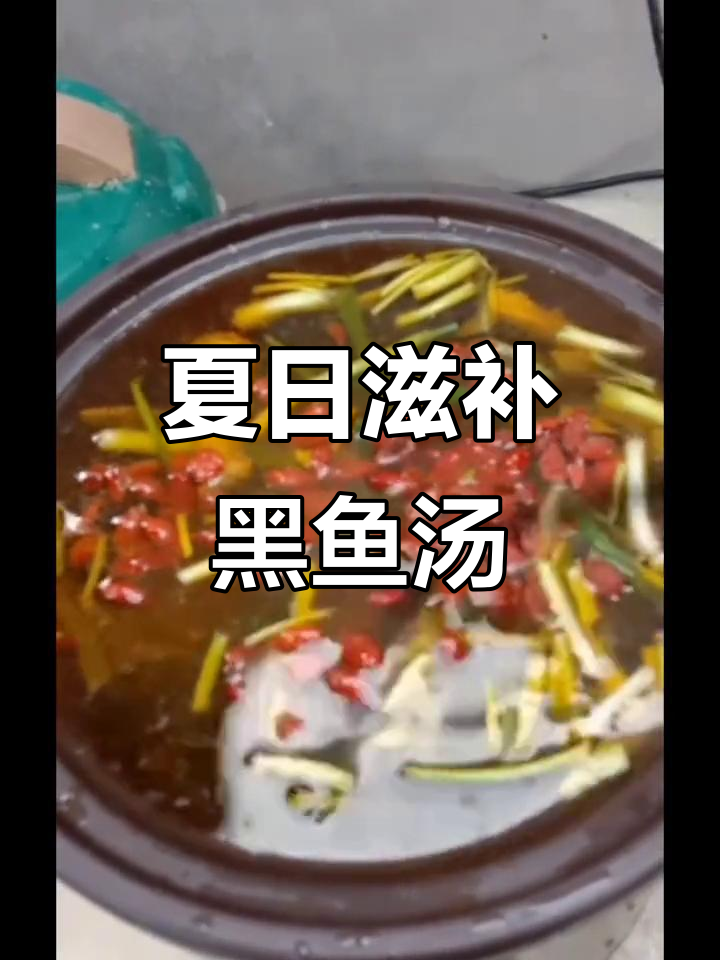 大热天,煲汤最解暑!黑鱼枸杞肉苁蓉汤来啦