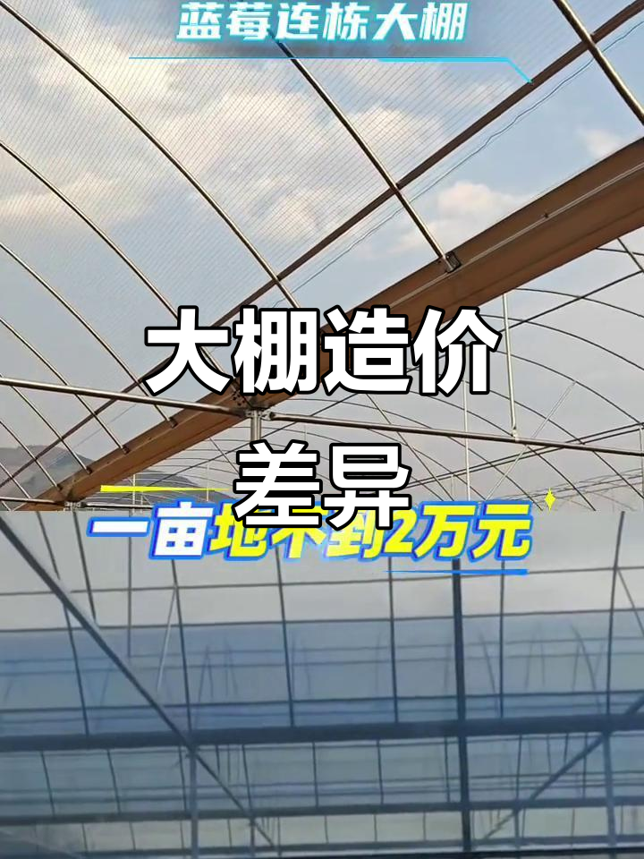 大棚造价因地区而异,云南便宜北方贵,选材需因地制宜