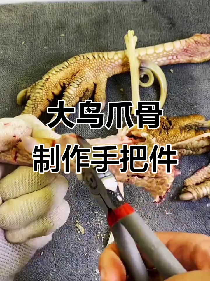 30斤大鸟爪骨变手把件,过程惊艳!